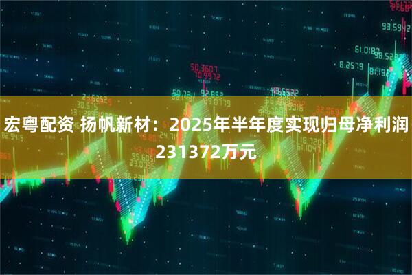 宏粤配资 扬帆新材:2025年半年度实现归母净利润231372万元