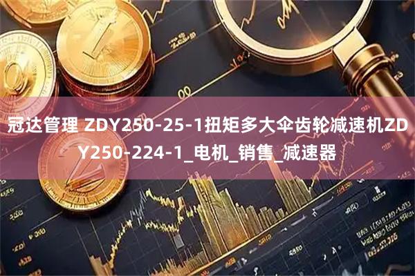 冠达管理 ZDY250-25-1扭矩多大伞齿轮减速机ZDY250-224-1_电机_销售_减速器